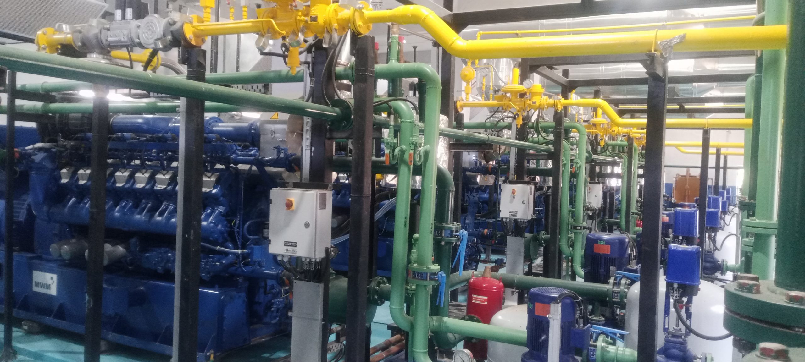 IMG_20250110_120851_243